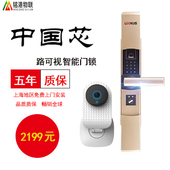 經(jīng)濟版智能指紋密碼門鎖套餐